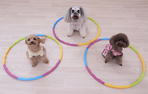 インスタグラム